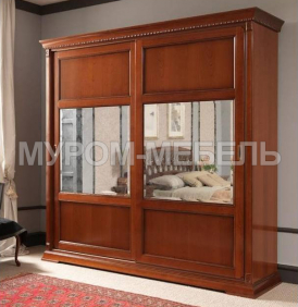 Здесь изображено Шкаф-купе двухстворчатый Прама с зеркалом