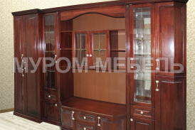 Здесь изображено Стенка Пити