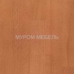 Старый орех 1