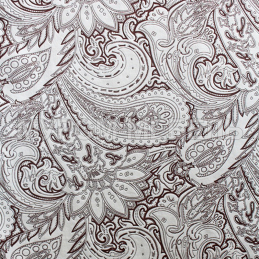 Павлин Павлин